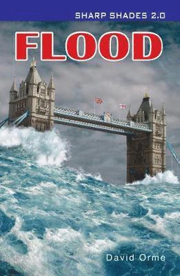bokomslag Flood  (Sharp Shades)