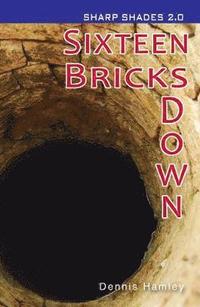 bokomslag Sixteen Bricks Down  (Sharp Shades)
