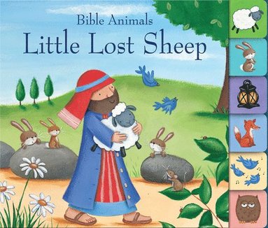 bokomslag Little Lost Sheep
