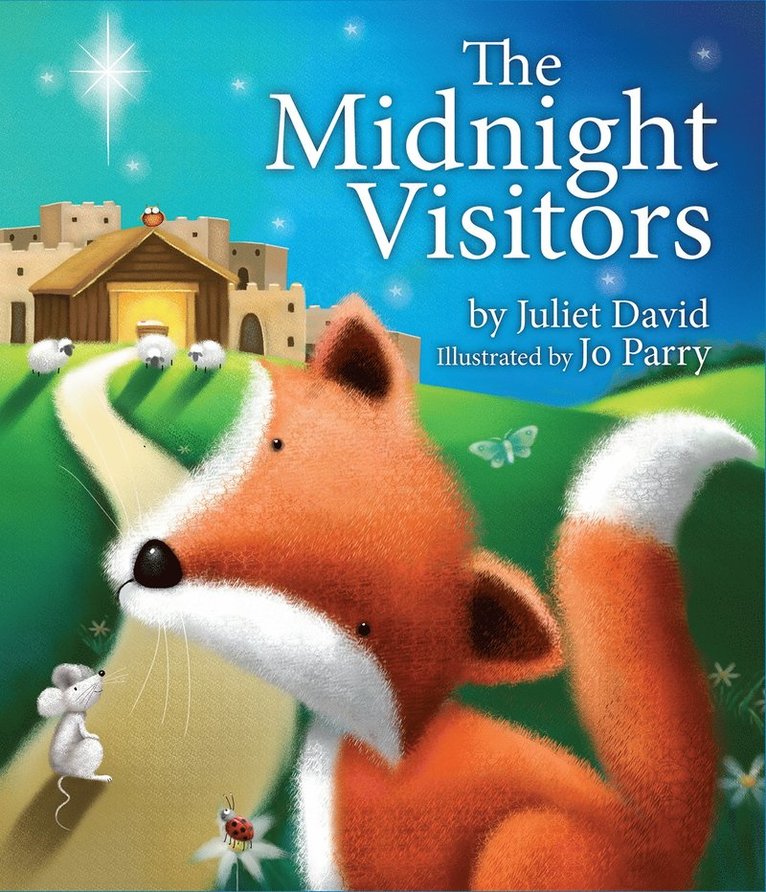 Juliet David - Midnight Visitors, Häftad
