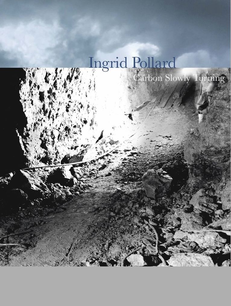Fay Blanchard, Anthony Spira - Ingrid Pollard, Häftad