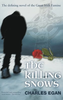 bokomslag Killing Snows