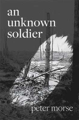 An Unknown Soldier 1