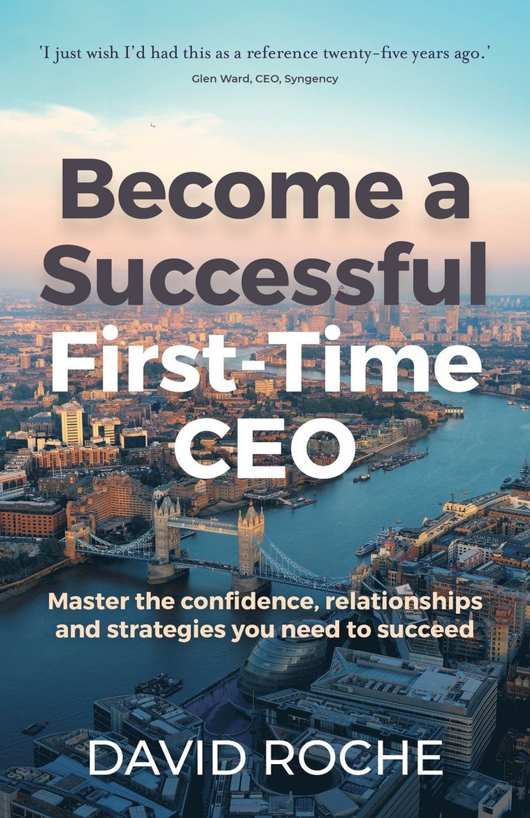 David Roche - Become a Successful First-Time CEO, Häftad