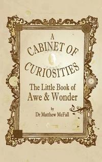 bokomslag Little Book of Awe and Wonder