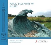 bokomslag Public Sculpture of Sussex