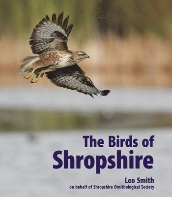 bokomslag Birds of Shropshire