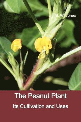 bokomslag Peanut Plant