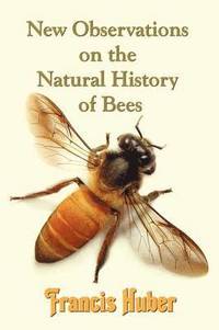 bokomslag New Observations on the Natural History of Bees