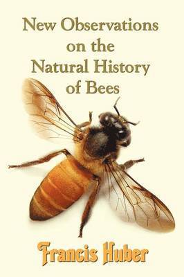 bokomslag New Observations on the Natural History of Bees