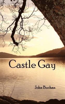 bokomslag Castle Gay