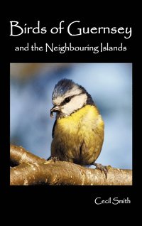 bokomslag Birds of Guernsey (1879) and the Neighboring Islands