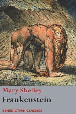 Mary Wollstonecraft Shelley - Frankenstein; or, The Modern Prometheus, Häftad