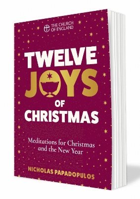 bokomslag Twelve Joys of Christmas single copy large print
