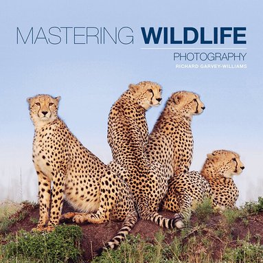 Richard Garvey-Williams - Mastering Wildlife Photography, Häftad