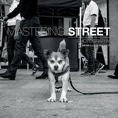 Brian Lloyd Duckett - Mastering Street Photography, Häftad