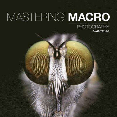 Mastering Macro Photography 1