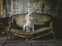 bokomslag Furbex