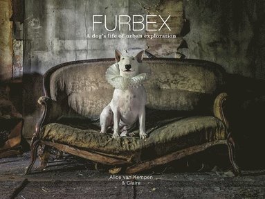 bokomslag Furbex
