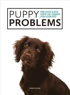 Puppy Problems 1