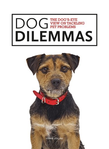 Sophie Collins - Dog Dilemmas, Häftad