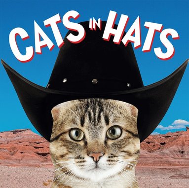 Ammonite Press - Cats in Hats, Kartonnage