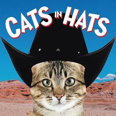 Cats in Hats 1