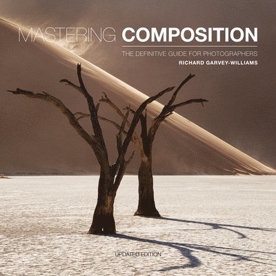 Mastering Composition 1