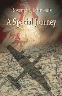 bokomslag Special Journey