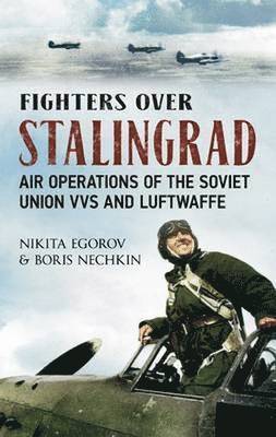 bokomslag Fighters Over Stalingrad