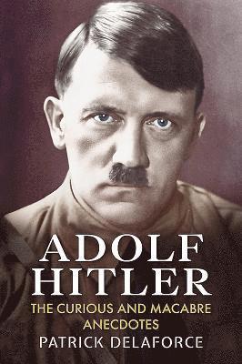 bokomslag Adolf Hitler