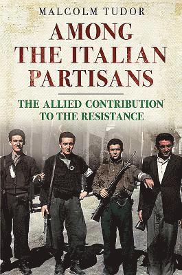 Among the Italian Partisans 1