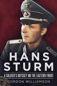 bokomslag Hans Sturm
