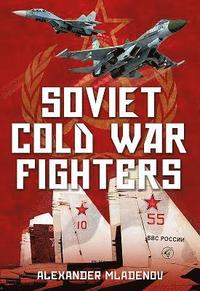 bokomslag Soviet Cold War Fighters