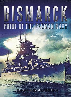 bokomslag Bismarck