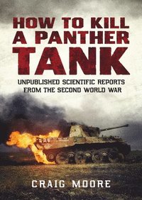 bokomslag How to Kill a Panther Tank