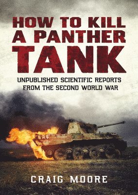 How to Kill a Panther Tank 1