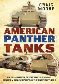 bokomslag American Panther Tanks