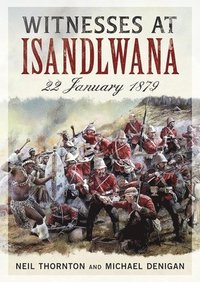 bokomslag Witnesses at Isandlwana