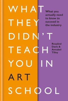 Rosalind Davis, Annabel Tilley - What They Didn't Teach You in Art School, Inbunden