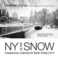 bokomslag New York in the Snow: A Magical Vision of New York City