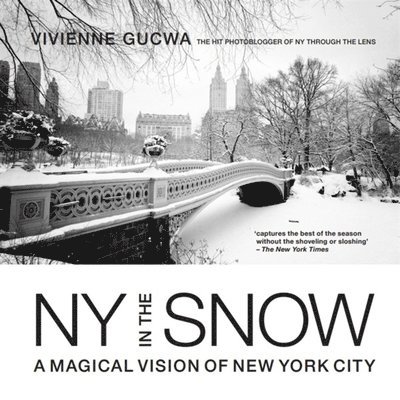 New York in the Snow: A Magical Vision of New York City 1