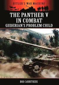 bokomslag The Panther V in Combat - Guderian's Problem Child