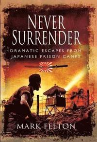 bokomslag Never Surrender: Dramatic Escapes From Japanese Prison Camps