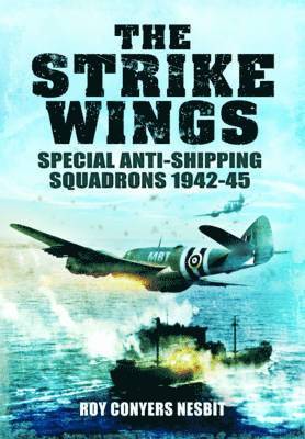 Strike Wings 1