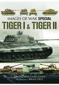 bokomslag Tiger I and Tiger II