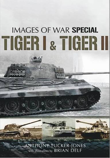 bokomslag Tiger I and Tiger II