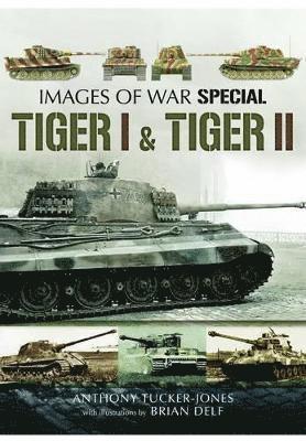 Tiger I and Tiger II 1