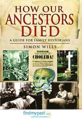 bokomslag How Our Ancestors Died