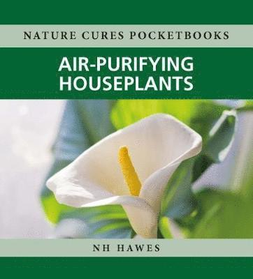 Air-Purifying Houseplants 1